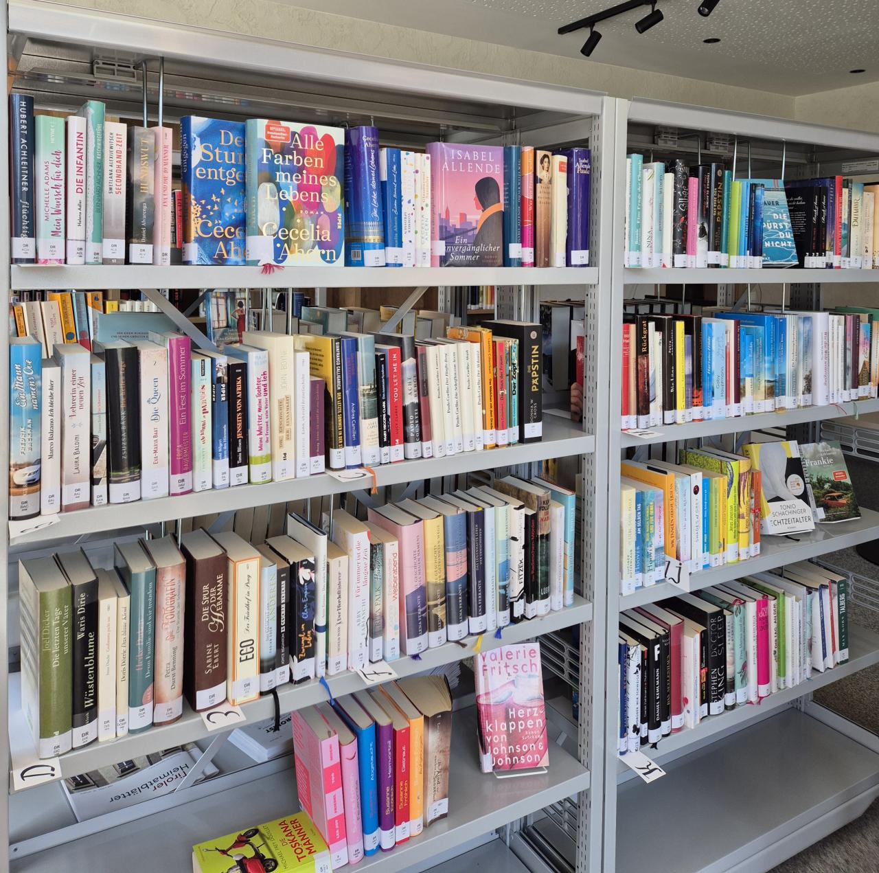Bücherregal 3